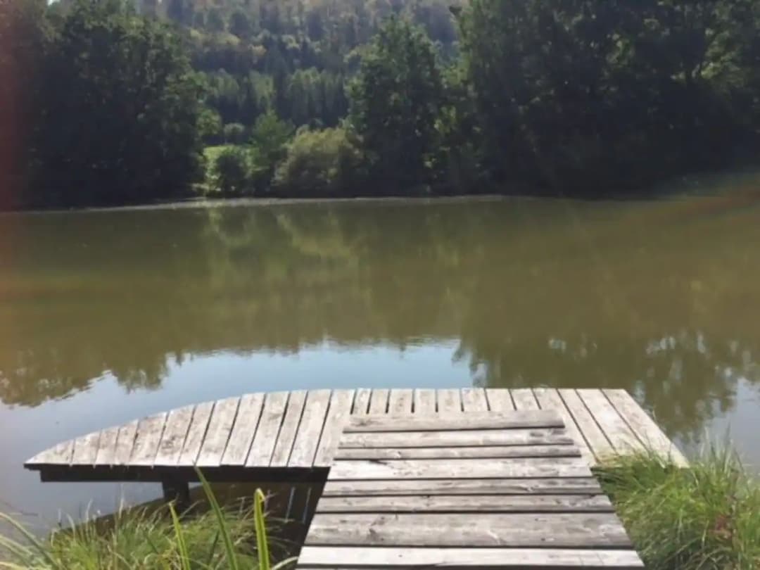 Chalet au bord d’un étang de 2ha  dans le parc naturel des vosges du nord 