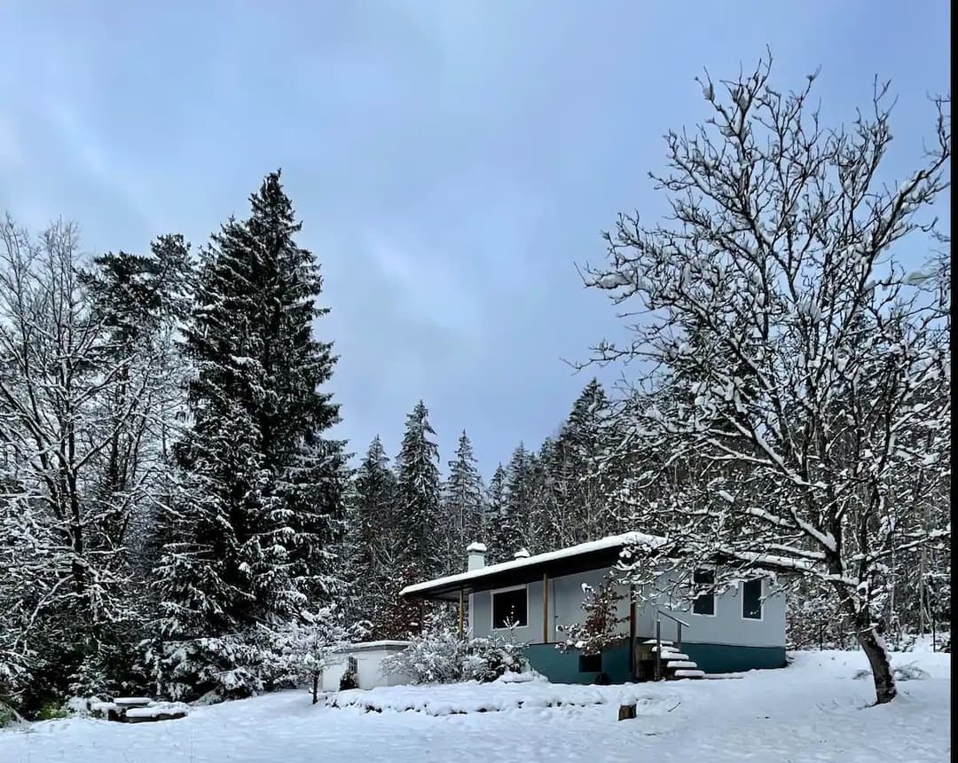 Chalet au bord d’un étang de 2ha  dans le parc naturel des vosges du nord 
