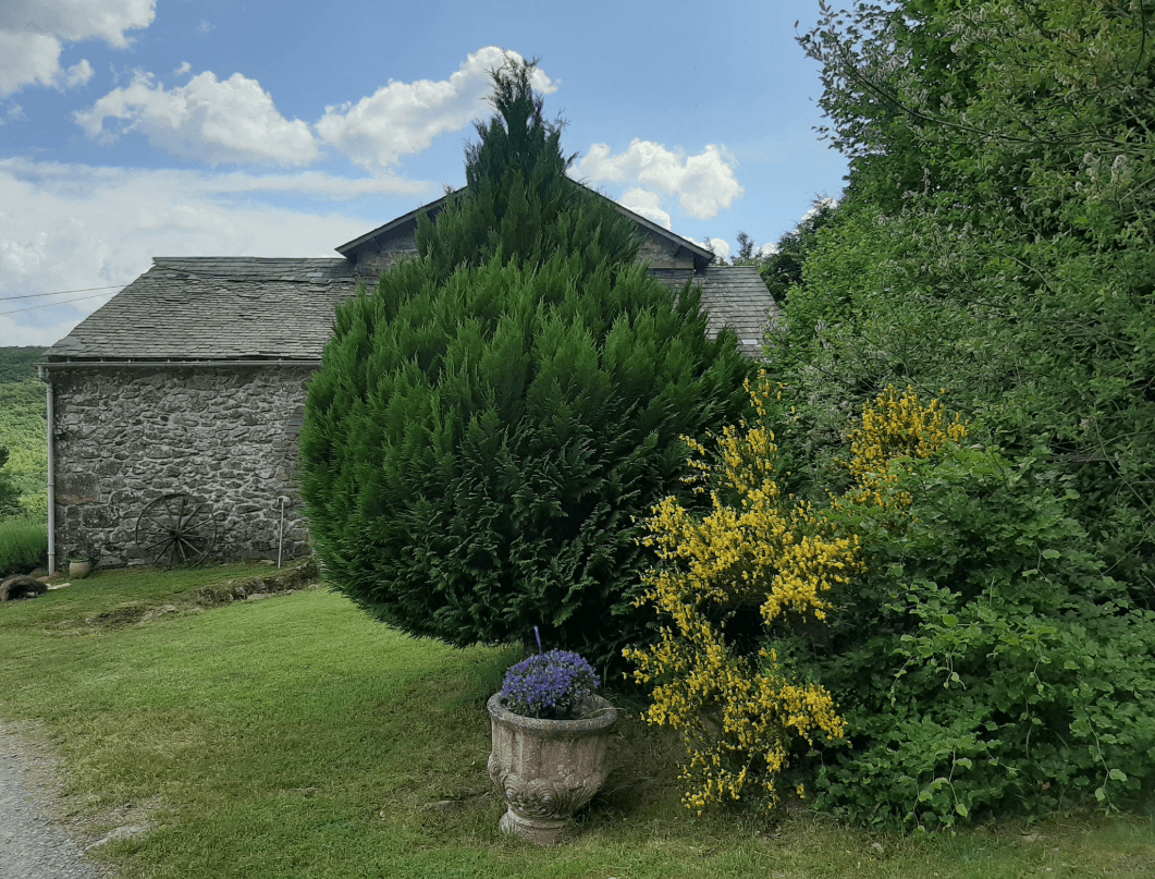 Maison de montagne avec son lac privé 