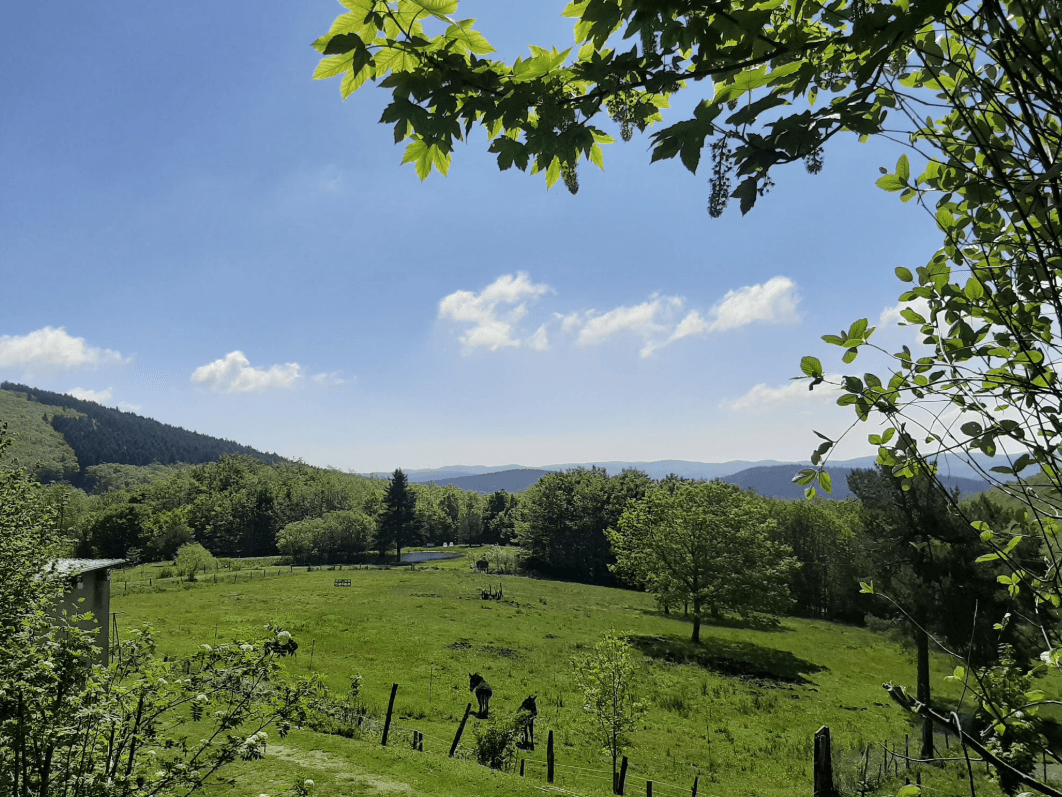 Cabane au coeur de la montagne et devant son étang privé 