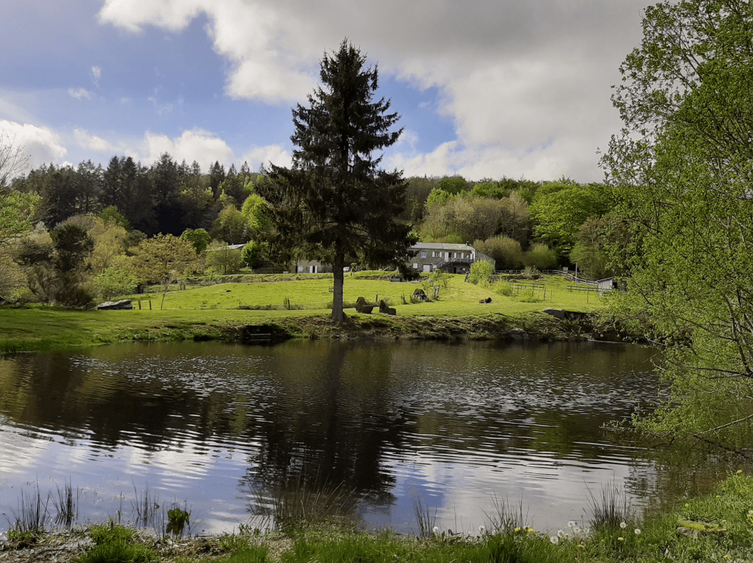 Maison de montagne avec son lac privé 