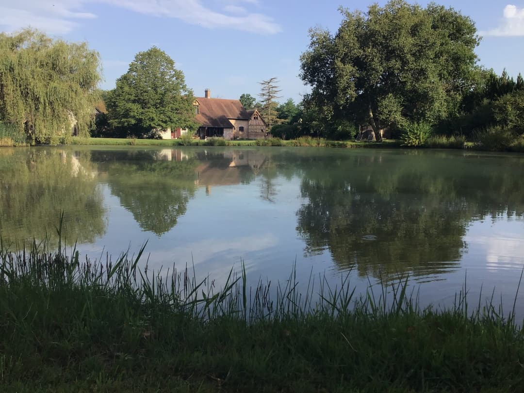 Gîte sologne avec étang privé et jardin 