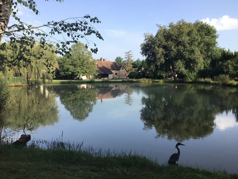 Gîte sologne avec étang privé et jardin 