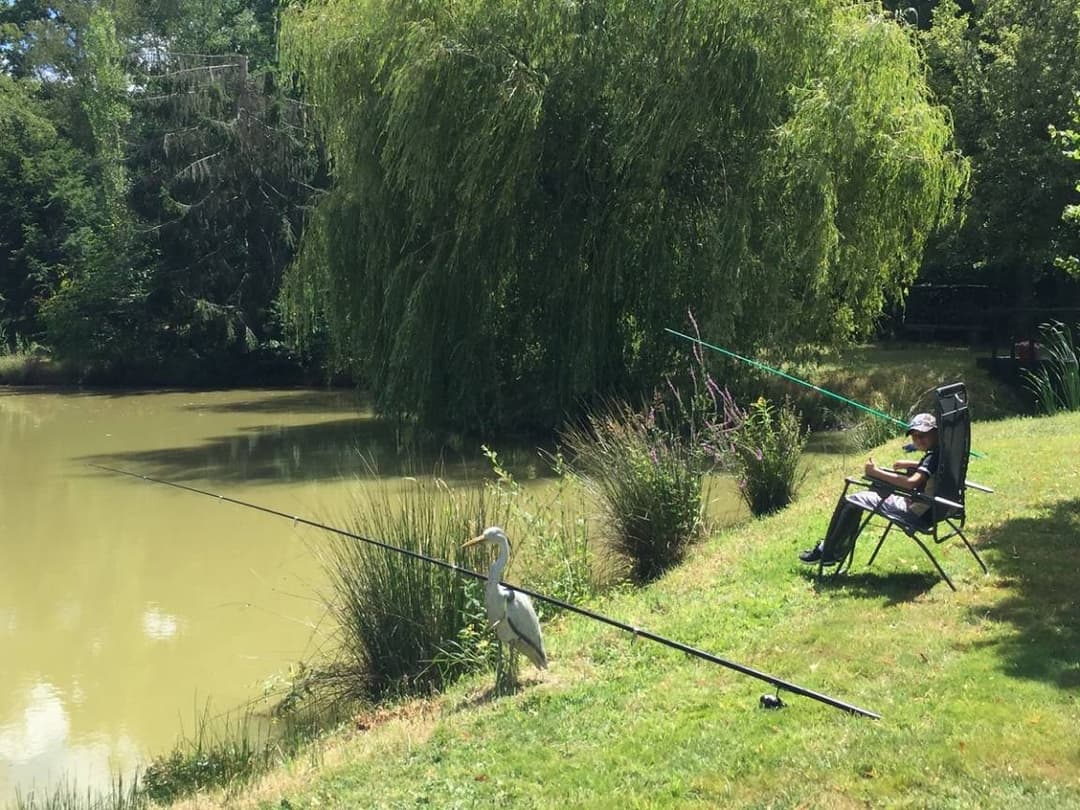 Gîte sologne avec étang privé et jardin 
