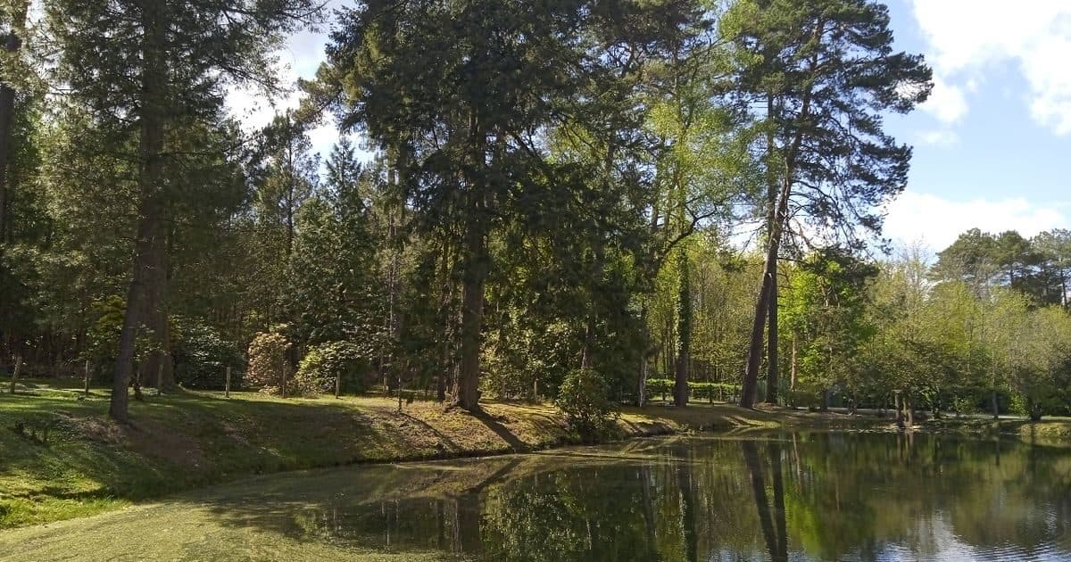 Maison tout confort avec étang privé en lisière de forêt 