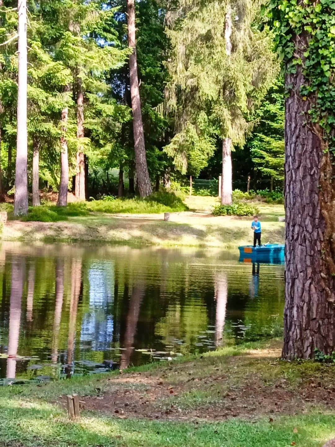 Maison tout confort avec étang privé en lisière de forêt 