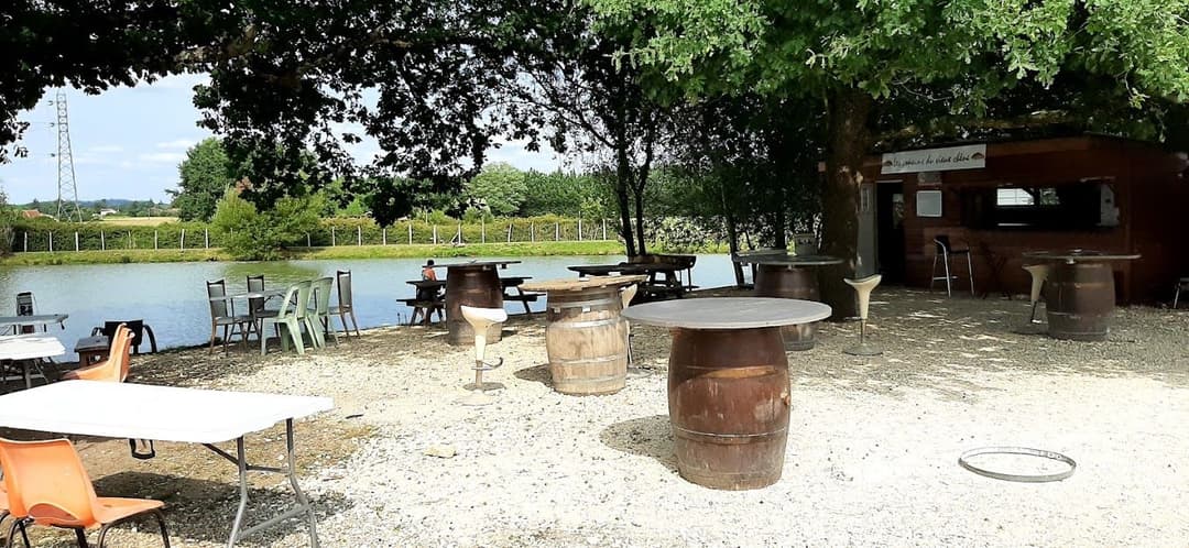 Chalet au bord d’un étang avec alpagas et pêche sportive au coeur du Périgord 