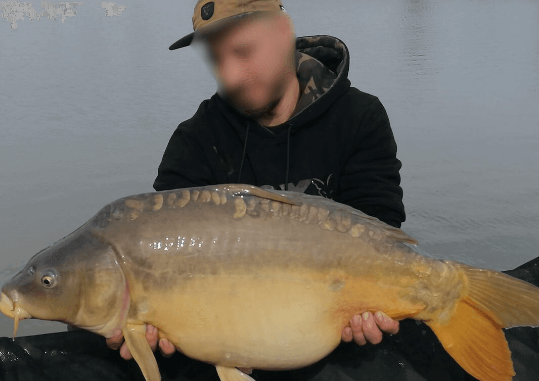 Chalet au bord d’un étang avec alpagas et pêche sportive au coeur du Périgord 