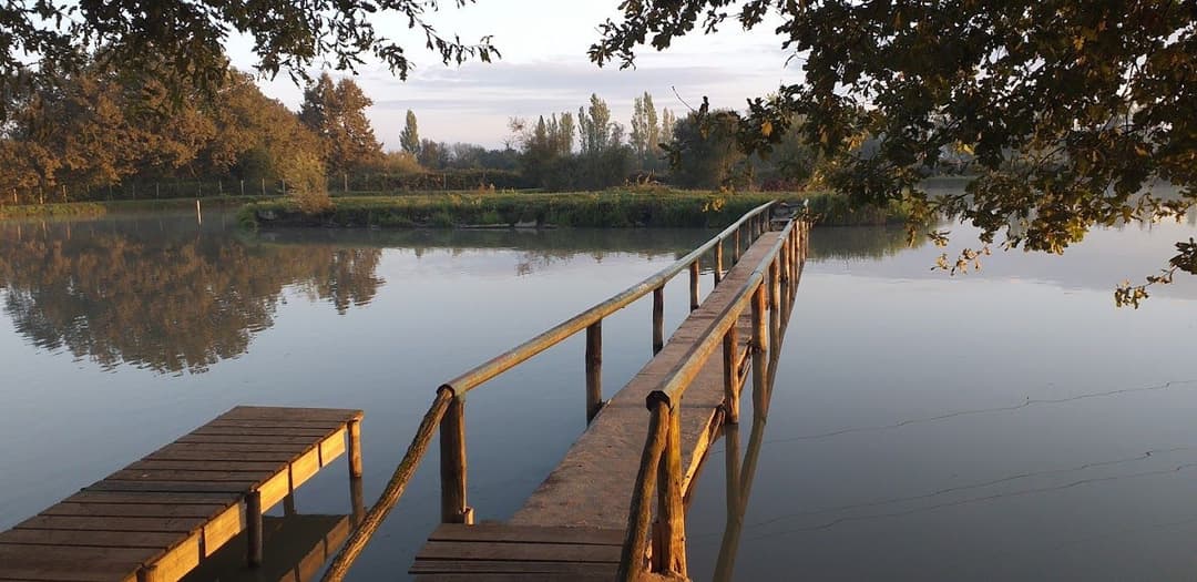 Chalet au bord d’un étang avec alpagas et pêche sportive au coeur du Périgord 