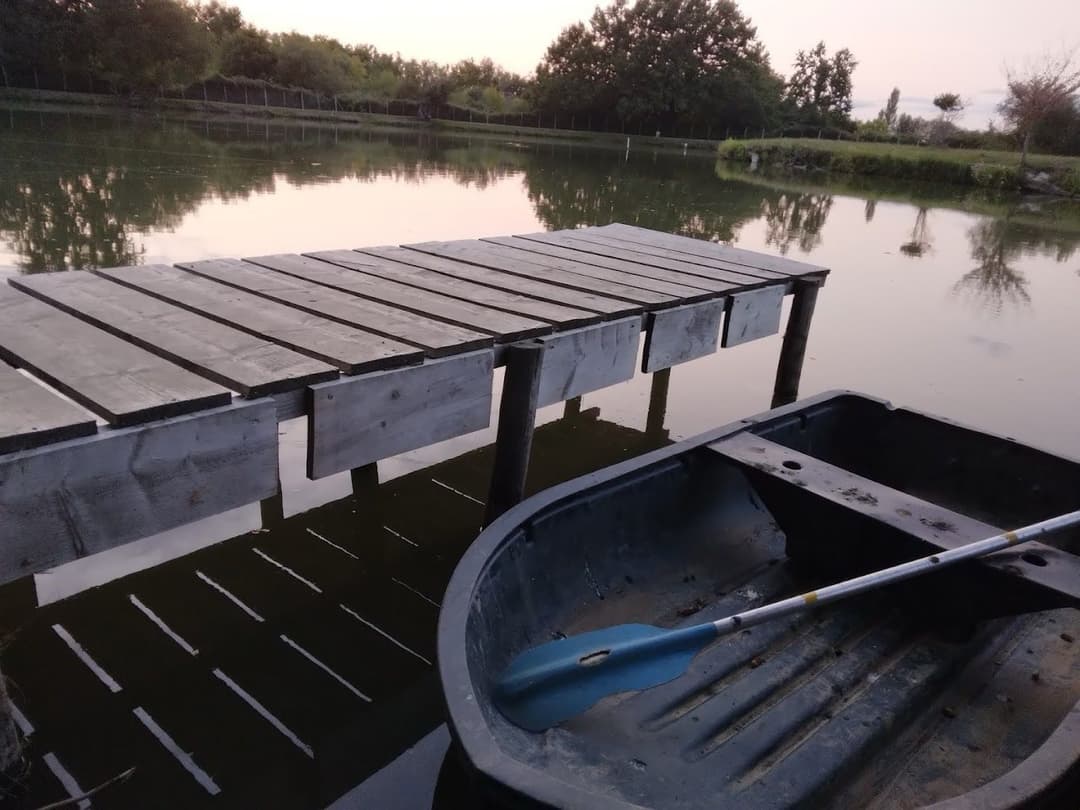 Chalet au bord d’un étang avec alpagas et pêche sportive au coeur du Périgord 