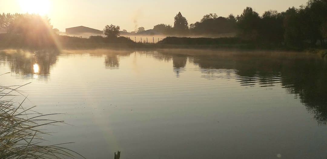 Chalet au bord d’un étang avec alpagas et pêche sportive au coeur du Périgord 