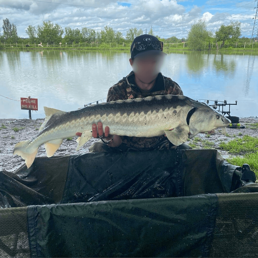 Chalet au bord d’un étang avec alpagas et pêche sportive au coeur du Périgord 