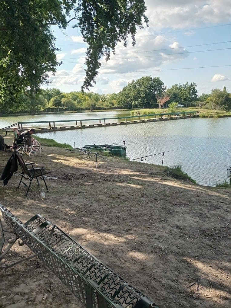 Chalet au bord d’un étang avec alpagas et pêche sportive au coeur du Périgord 