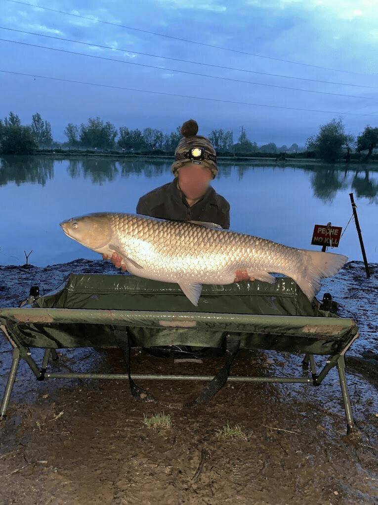 Chalet au bord d’un étang avec alpagas et pêche sportive au coeur du Périgord 