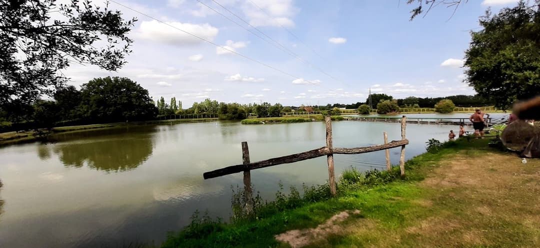 Chalet au bord d’un étang avec alpagas et pêche sportive au coeur du Périgord 