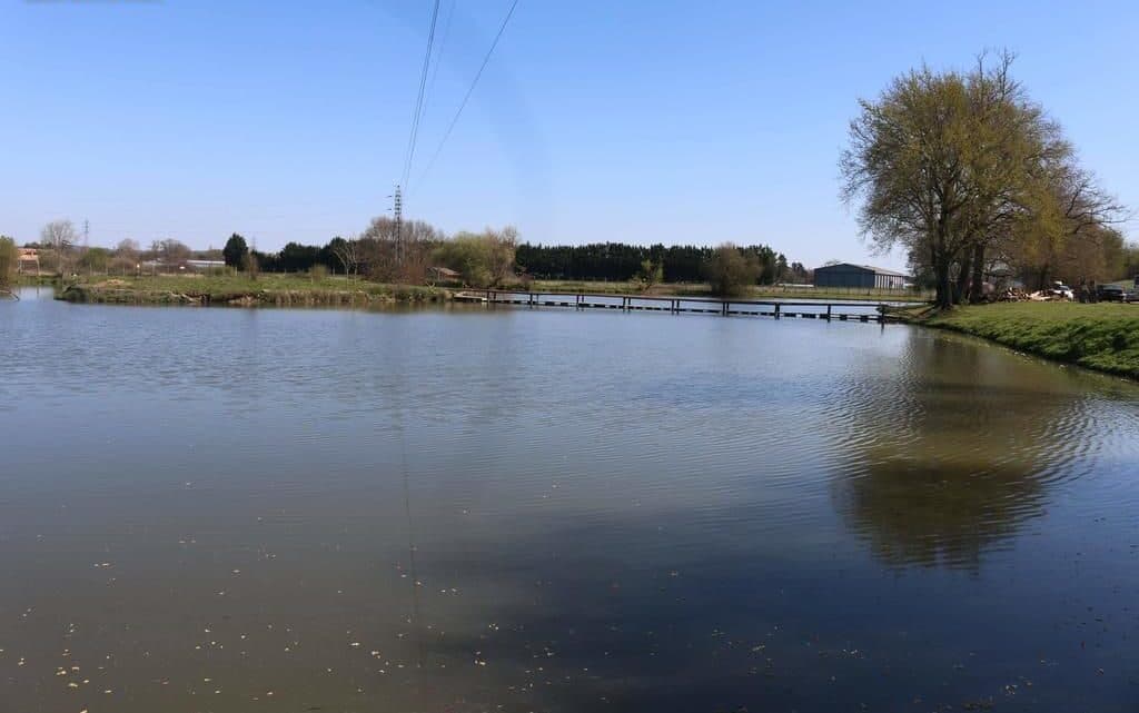 Chalet au bord d’un étang avec alpagas et pêche sportive au coeur du Périgord 