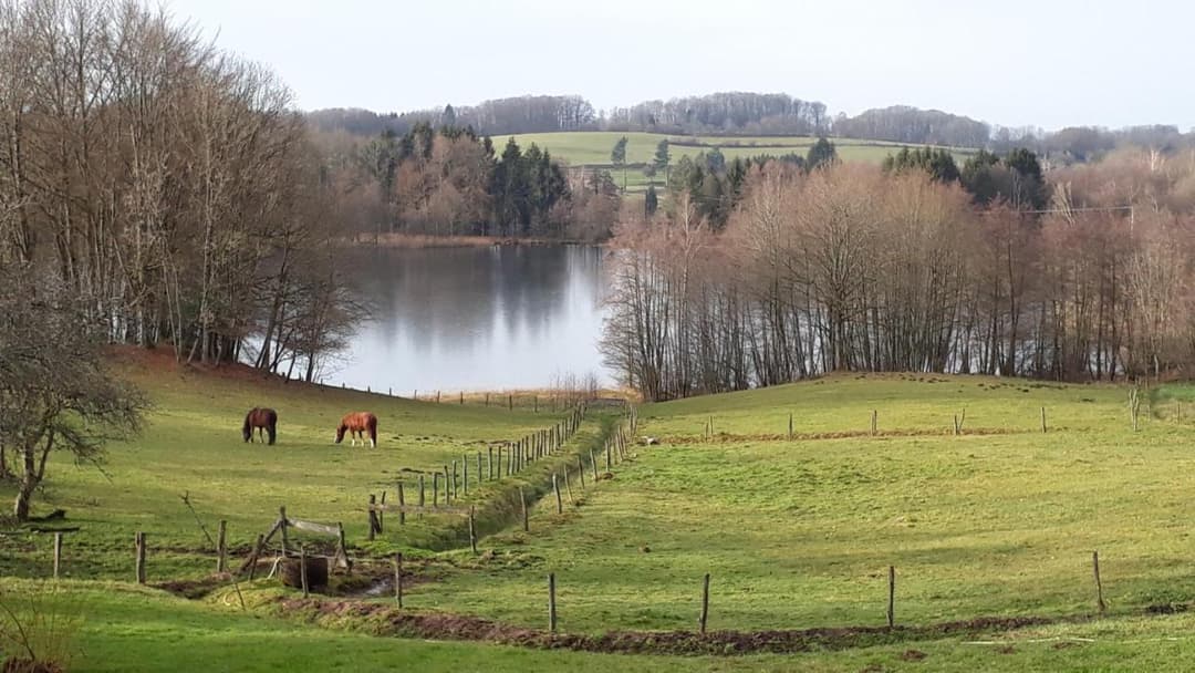 Gite tout confort avec lac privé de 7ha et sauna 