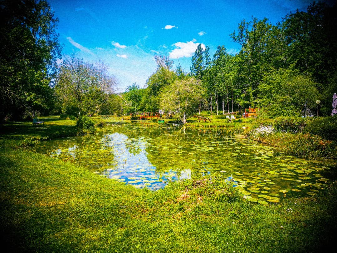 Chalet avec bain nordique au bord d’un étang de pêche 