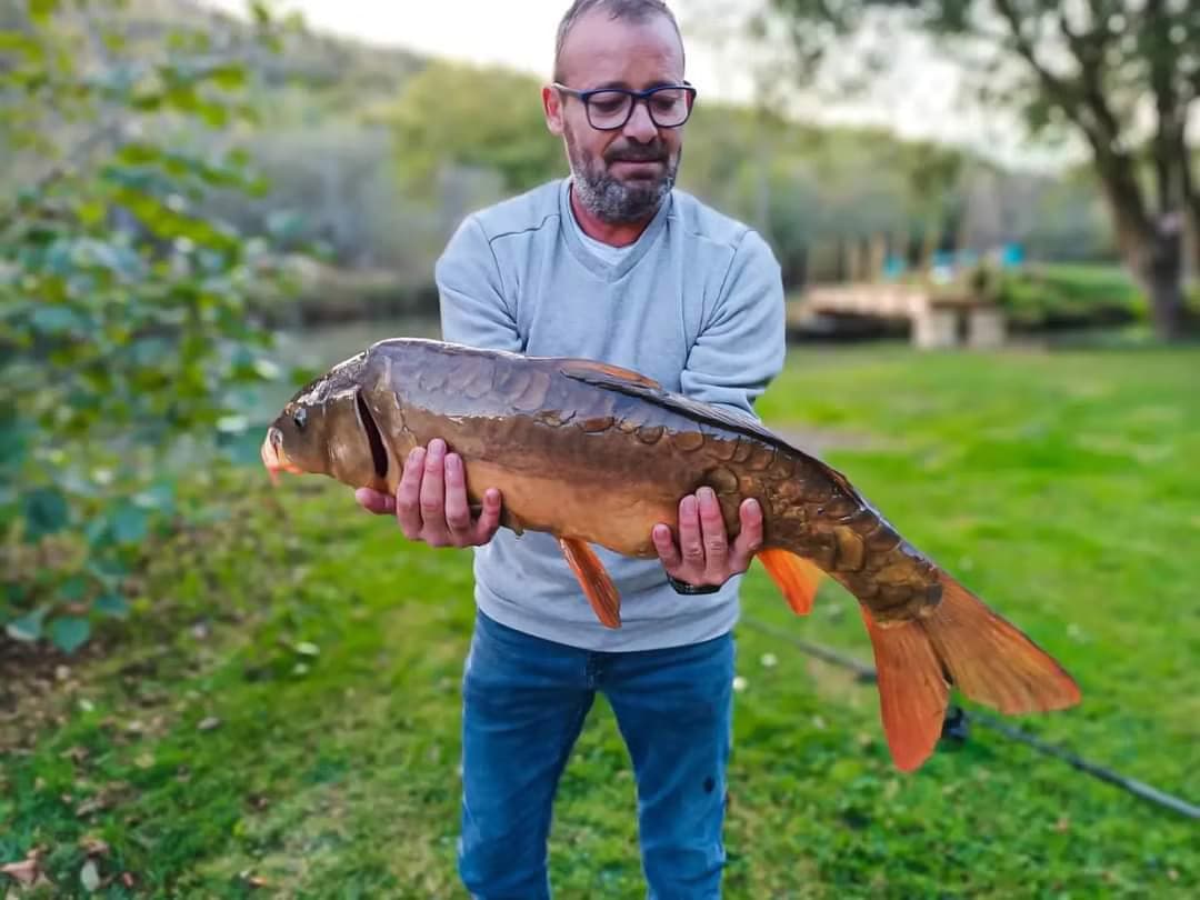 Chalet avec bain nordique au bord d’un étang de pêche 