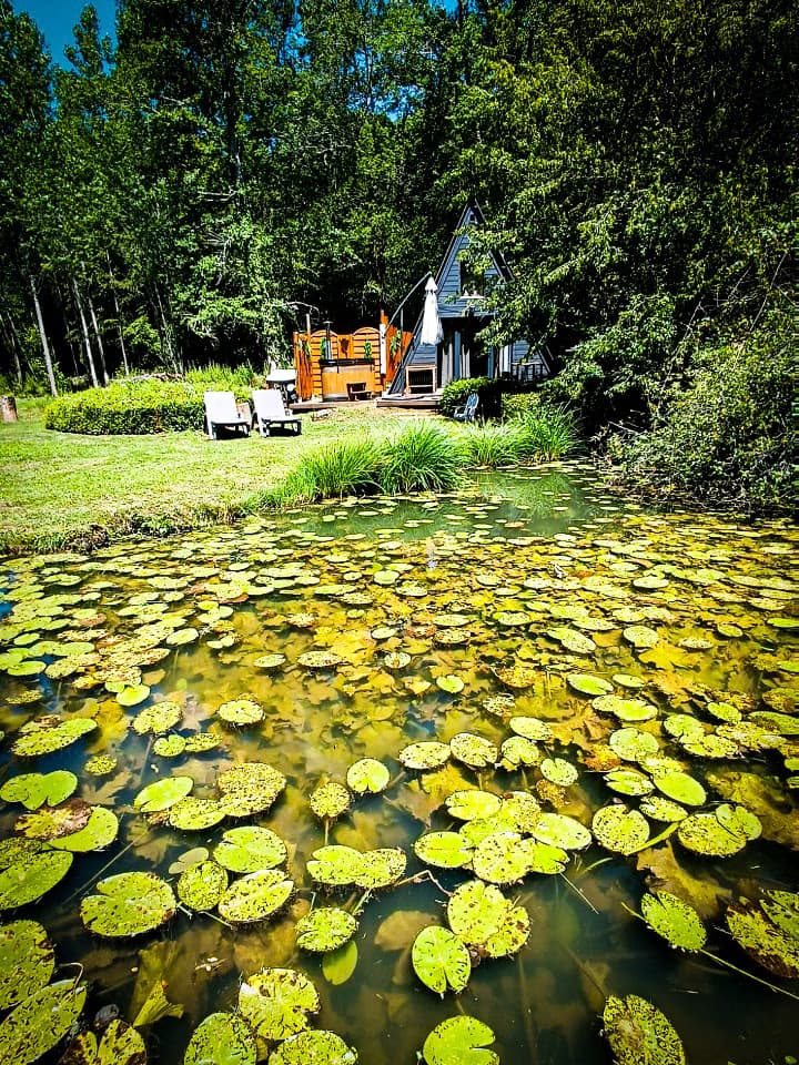 Chalet avec bain nordique au bord d’un étang de pêche 