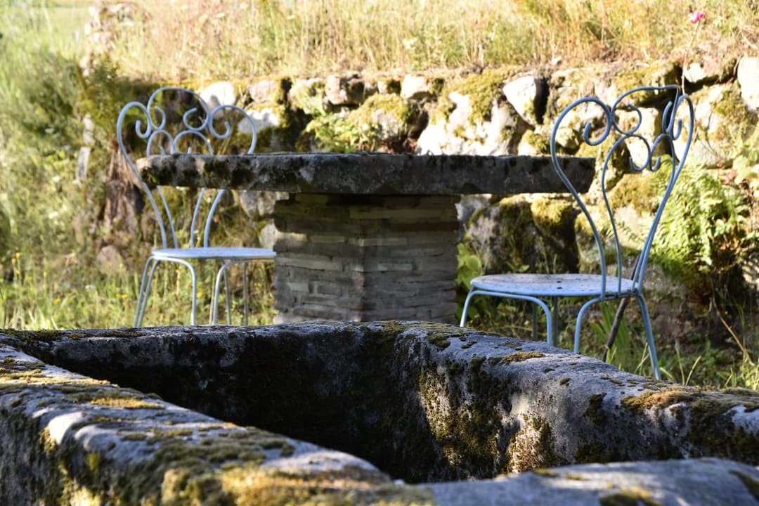 Canopée : Appartement niché au bord d’un étang tranquille 