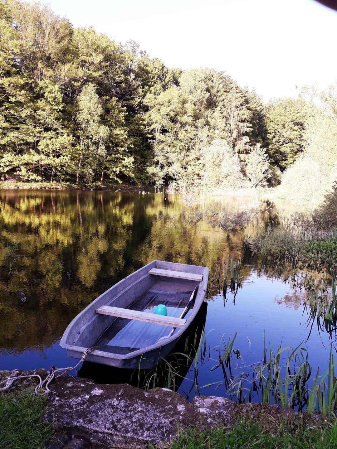 Cabane de l’explorateur au bord de l’étang pour une évasion authentique en pleine nature 