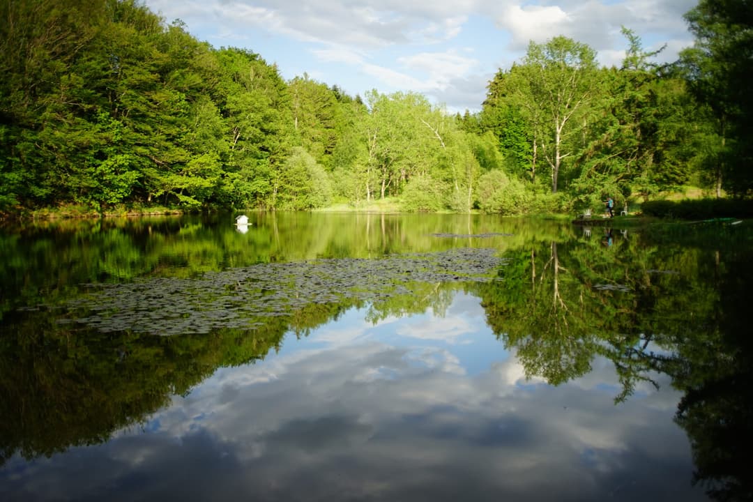 Roulotte de l’aventurier au bord de l’étang dans les Vosges 