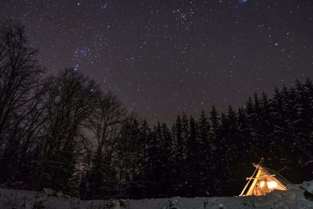Cabane de Davy Crockett pour vivre une aventure unique 