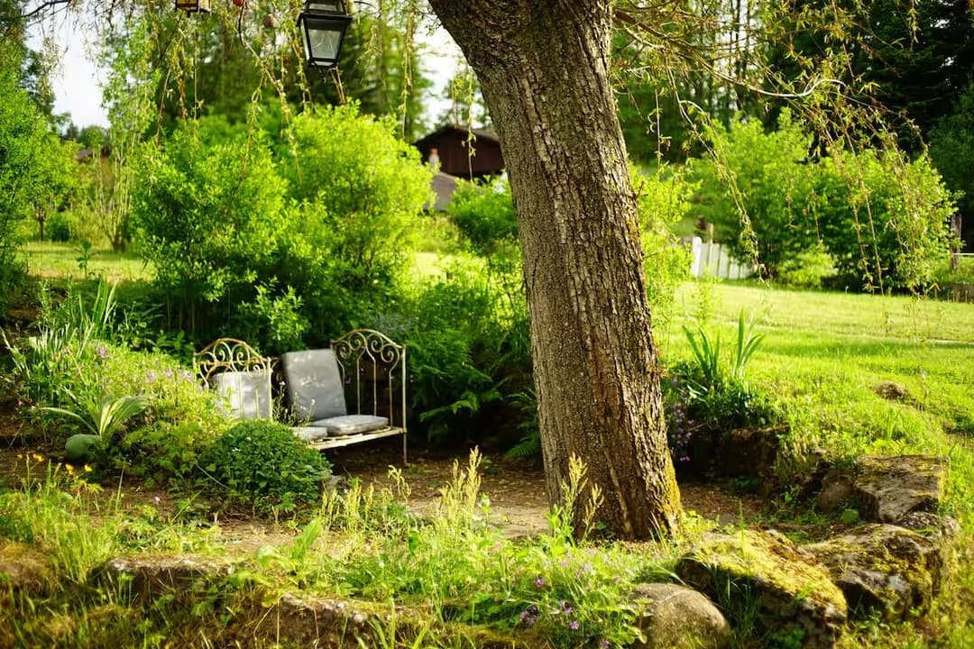 Cabane de Davy Crockett pour vivre une aventure unique 