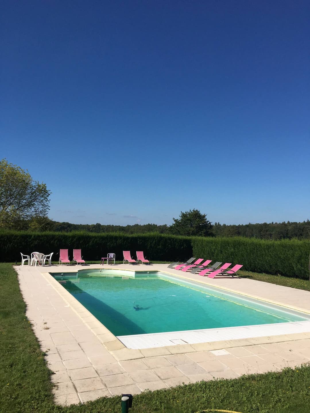 Maison solognote avec un bel étang au bord de la forêt 