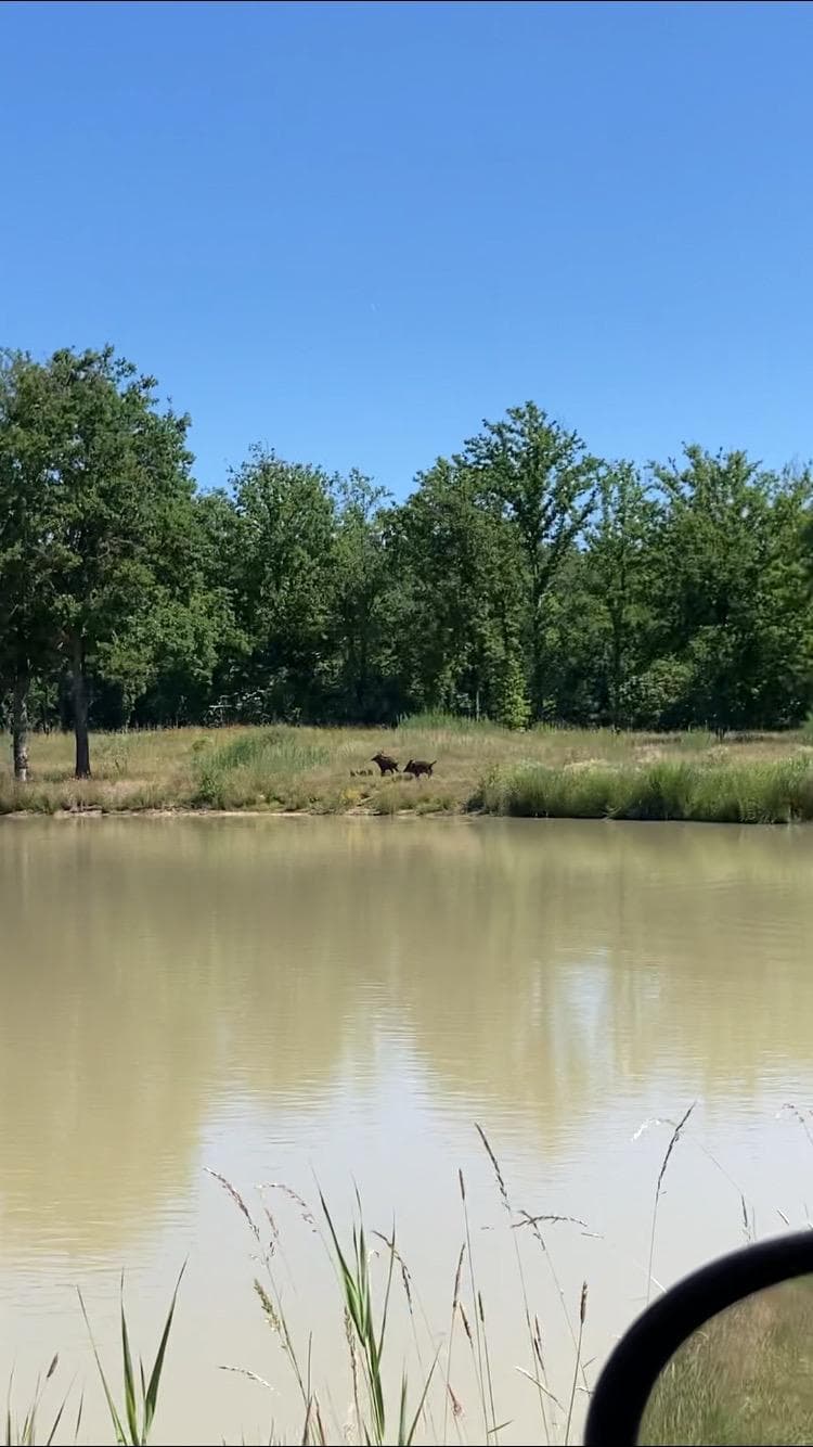 Location étang pour la pêche de 5ha