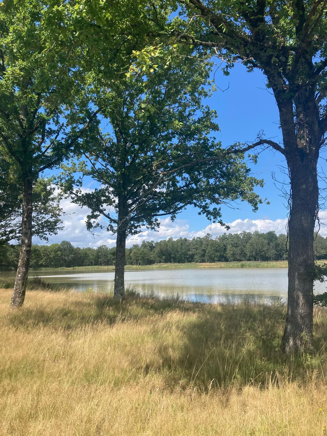 Location étang pour la pêche de 5ha