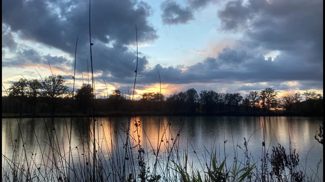 Location étang pour la pêche de 5ha
