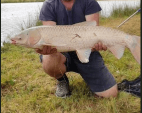 Location étang pour la pêche de 5ha