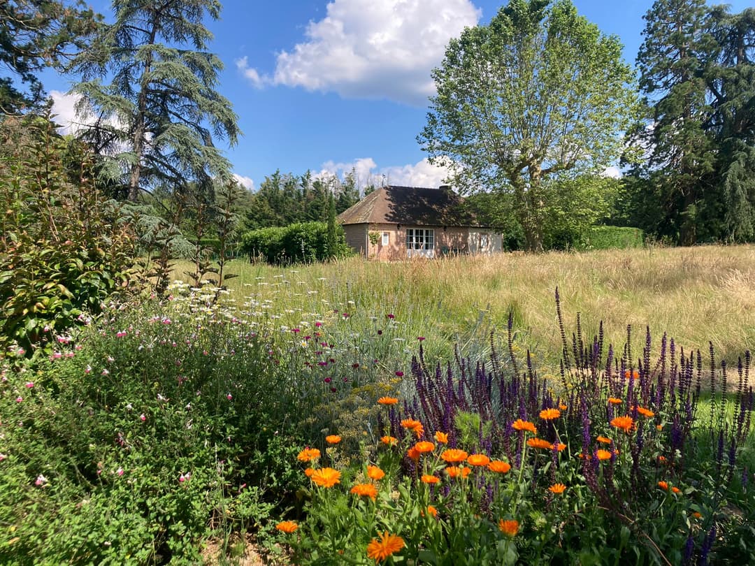 Maison solognote avec un bel étang au bord de la forêt 