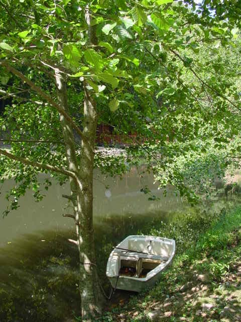 Gîte au bord d’un étang et rivière pour l’été 
