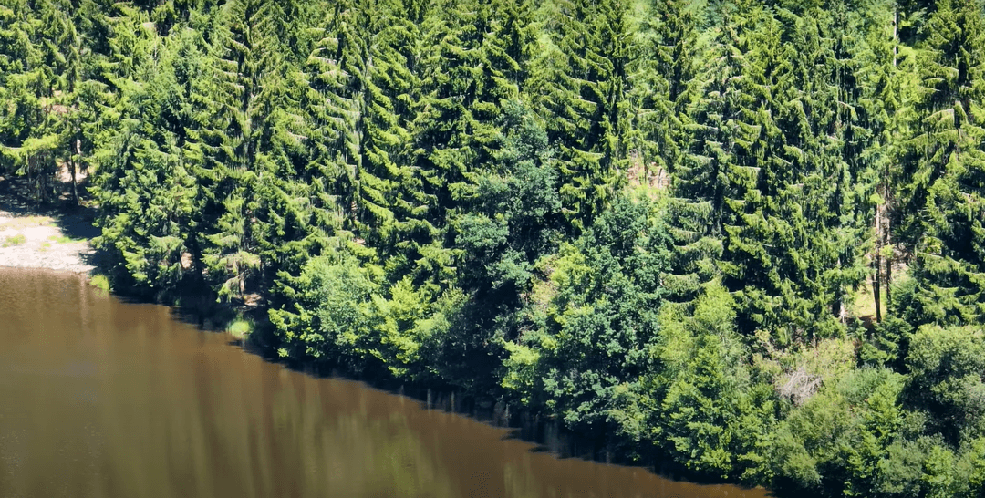 Grand étang de 5ha en Correze pour la pêche 