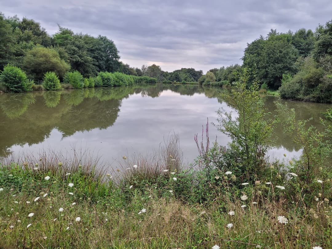 Gîte sur une propriété de 9 ha avec un étang sauvage (et SPA l’été) 
