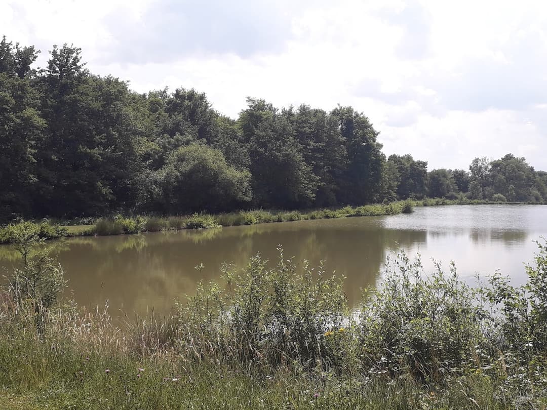 Gîte sur une propriété de 9 ha avec un étang sauvage (et SPA l’été) 