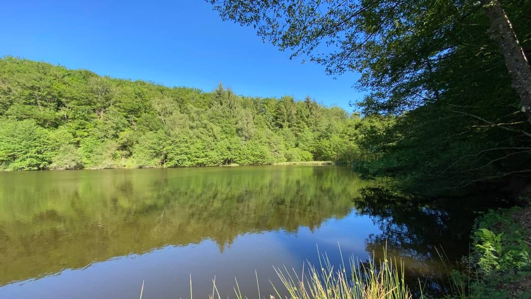 Appartement 2 chambres, étang et balades en forêt privée 
