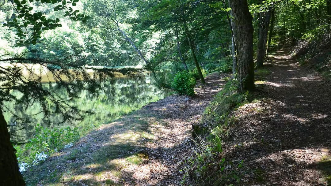 Studio au coeur de la nature avec accès à un étang 