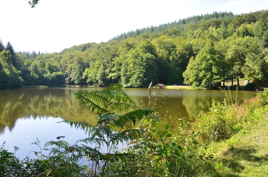 Appartement 2 chambres, étang et balades en forêt privée 