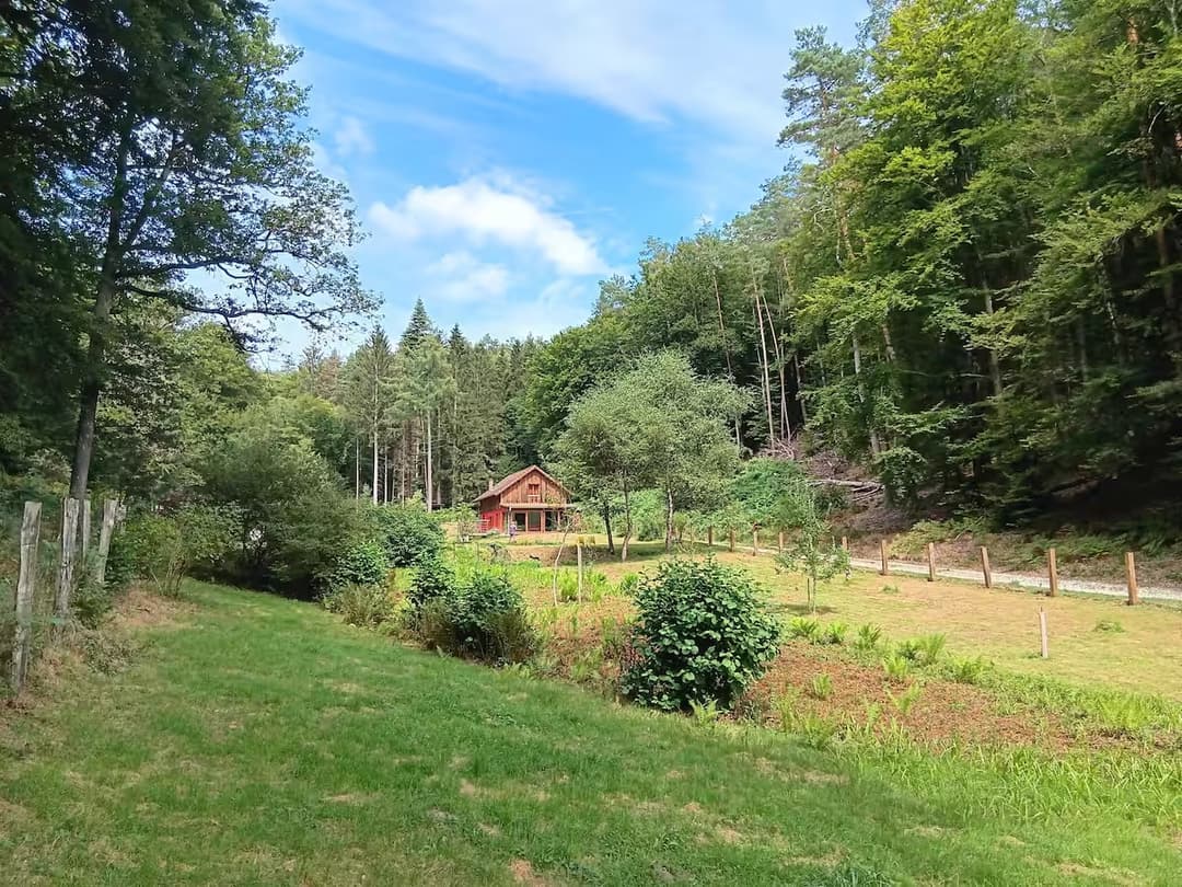 Chalet au cœur du parc régional des Vosges avec étang 