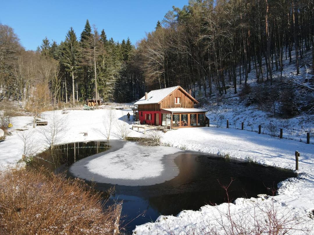 Chalet au cœur du parc régional des Vosges avec étang 