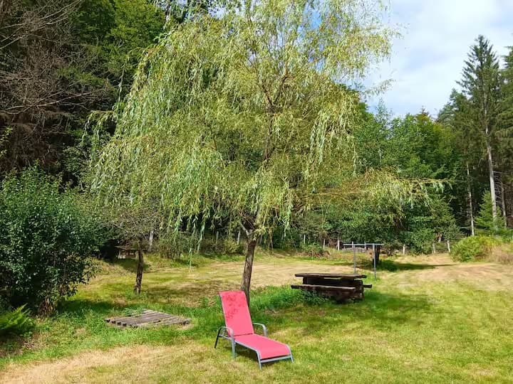 Chalet au cœur du parc régional des Vosges avec étang 