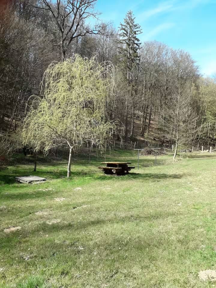 Chalet au cœur du parc régional des Vosges avec étang 