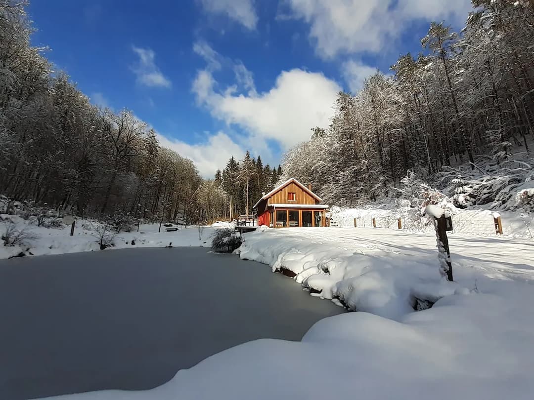 Chalet au cœur du parc régional des Vosges avec étang 