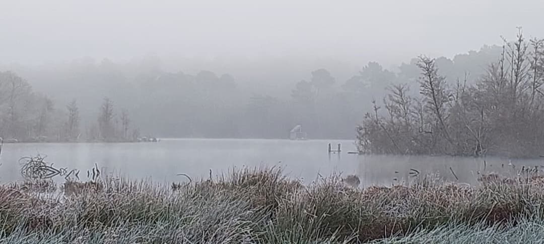 Etang de 21ha avec une cabane flottante 
