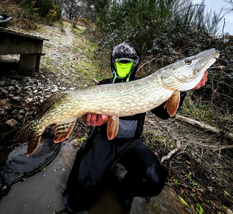 Etang de 21ha avec une cabane flottante 