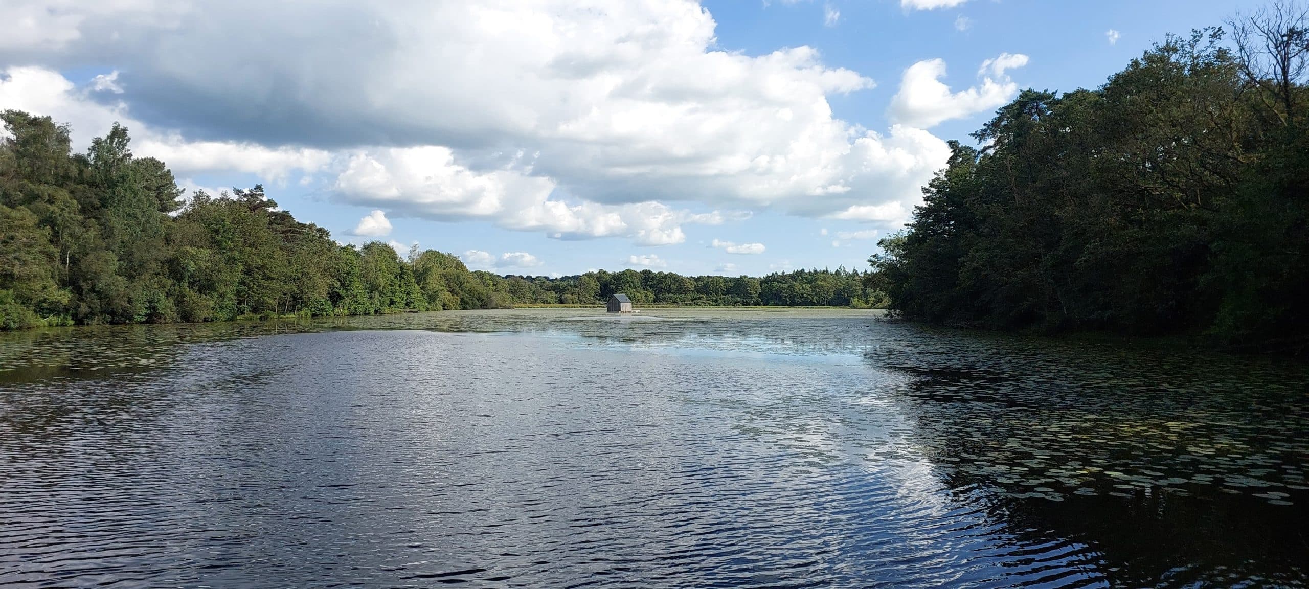 Etang de 21ha avec une cabane flottante 